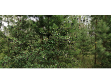 IMG 20190714 121938.jpg