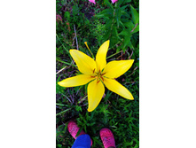 IMG 20190720 200034.jpg