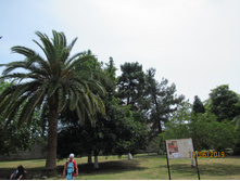 ���� �������