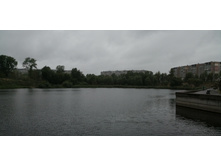 IMG 20190629 142545.jpg