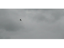 IMG 20190629 100644.jpg