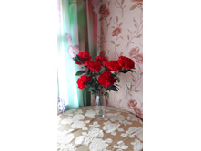 �������� , �����  3 �� , ��  290� � 3= 870� �� ���!