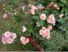 IMG 20190622 155832.jpg