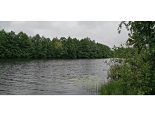 IMG 20190629 103301.jpg