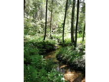 2019.07.14 13-36-20 (IMG 20190714 133620) GlebKa.jpg