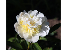 ���������� ����.jpg