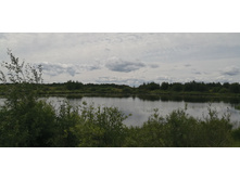 IMG 20190630 135048.jpg