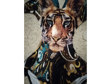 IMG 20180924 202329.jpg