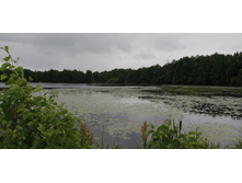 IMG 20190629 100826.jpg