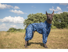 ����������� viber 2019-07-04 12-20-45.jpg