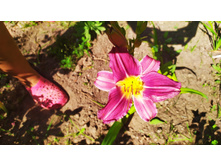 IMG 20190728 094138.jpg