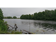 IMG 20190629 102422.jpg