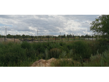 IMG 20190714 110801.jpg