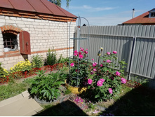 IMG 20190624 150117.jpg