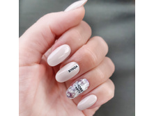 ������� ������ NVi 2019