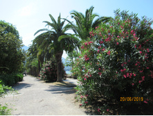 �����, ���������� ����