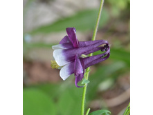 ��������� ���������� � �����