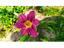 �������� ������ ��� ���