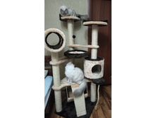 Viber image.11jpg.jpg