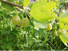 IMG 20190712 181539.jpg