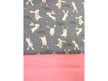 �������� ������������ ����� Bunny