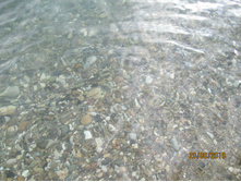 "��������" ����, �����