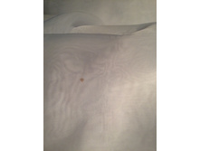 �� ������