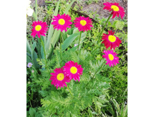 IMG 20190711 223835.jpg