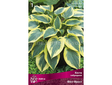 ����� ��������� FIRST FROST (��� �����, ������ �������) 110 ���..jpeg