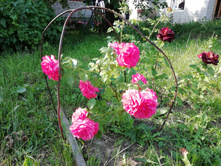 IMG 20190623 073633.jpg