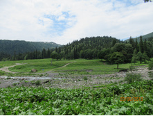 ���������� ����