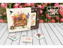 Chokocat ���� ����.jpg