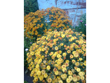 ���������� ����� � �������� ������� 80 ���