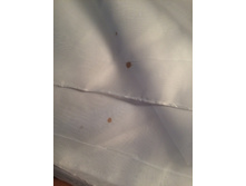 �� ������