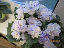 ���� � ������, ������ ��������