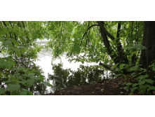 IMG 20190629 101550.jpg