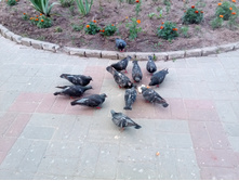 2019.07.20 ������-200 ����� ���������� ����� 2.jpg