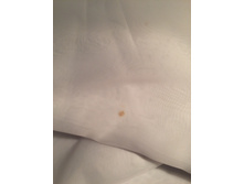 �� ������