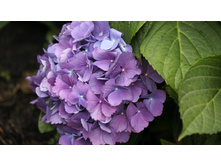 ��������� � � ������