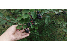 IMG 20190714 122128.jpg