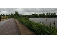 IMG 20190629 182311.jpg