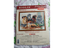 IMG 20190713 154550.jpg