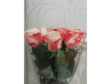 IMG 20190721 210410.jpg