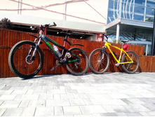 ������ ������