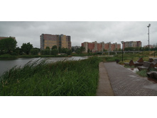 IMG 20190629 144317.jpg