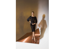 ��������� ����������� ����� EMSE