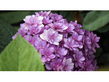 ��������� You Me Love