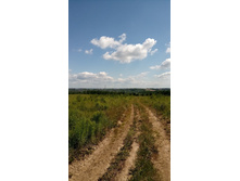 ��... ������...