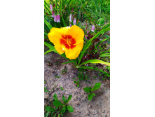 ��� ��� ��