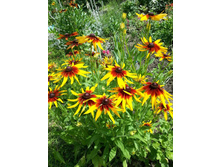 �������� ������������.������� 30���